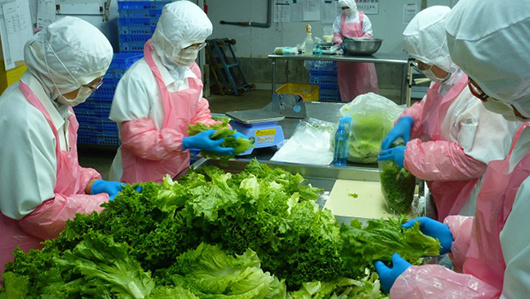 ADB funds development of flower farming