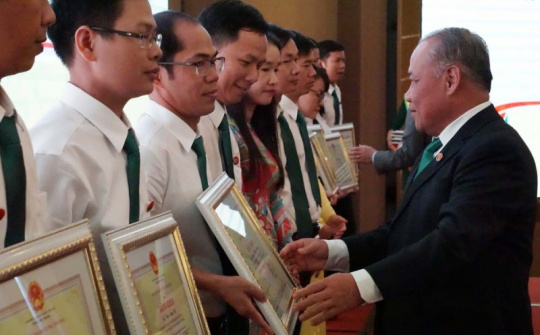 Một năm ấn tượng của Đạm Cà Mau