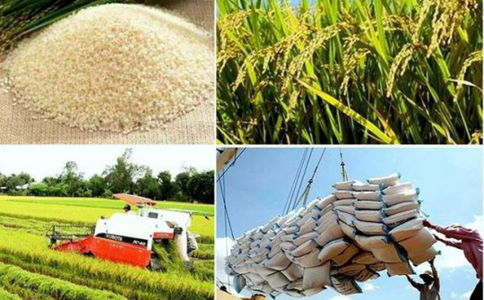 Tin vui cho các DN xuất khẩu: Nhiều dấu hiệu nhập khẩu gạo thế giới năm 2018 sẽ sôi động