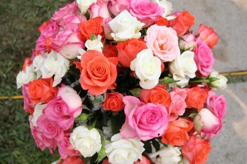 Thị trường hoa dịp Valentine 14/2 kém sôi động
