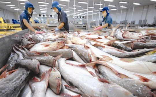 Xuất khẩu hàng hóa sang Mỹ: Doanh nghiệp chủ động trước chính sách mới