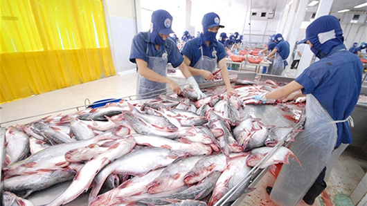 Bộ Công Thương: Mức thuế cá tra- basa mà Mỹ đưa ra mang tính bảo hộ quá mức