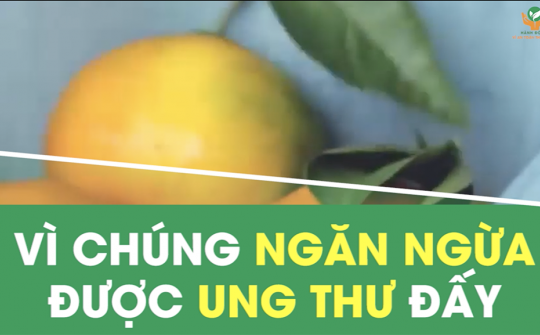 04 phần bỏ đi của thực phẩm có tác dụng ngăn ngừa ung thư 