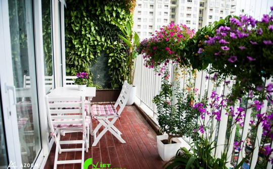 Sống ở chung cư: Chuyện hài nhiều tập
