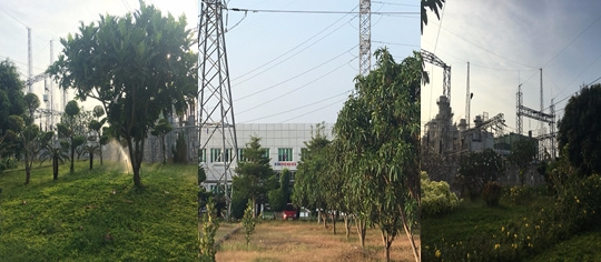 Nhiệt điện Bà Rịa xây dựng mô hình Xanh - Sạch - Đẹp