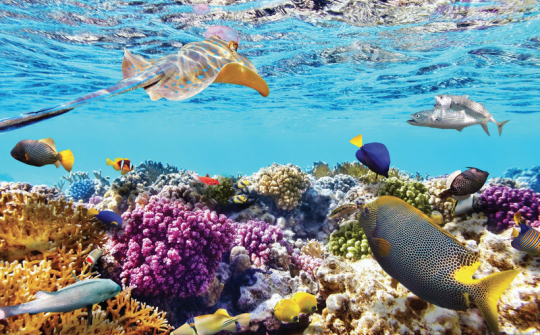 Quần đảo Nam Du – “Maldives của Việt Nam”