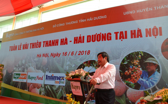 Vải thiều Thanh Hà và tầm nhìn tương lai