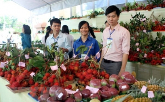 Hỗ trợ doanh nghiệp giảm rủi ro khi xuất khẩu nông sản sang Hàn Quốc