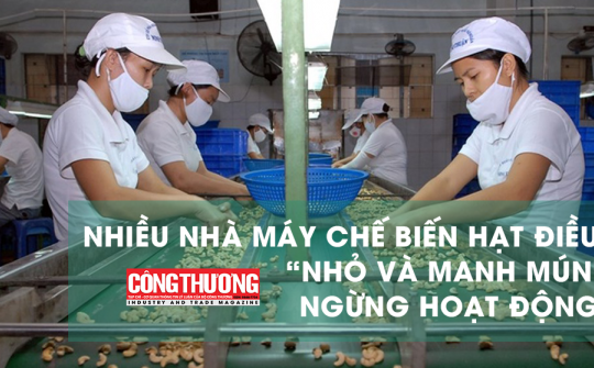 Ngày 22/6/2018 | Bản tin Sự kiện và Con số Công Thương