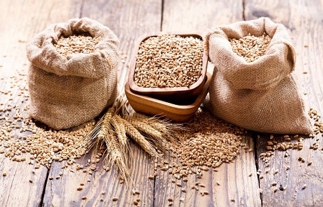 Thị trường nông sản ngày 21/6: Giá lúa mì tăng phiên thứ 2 liên tiếp, cà phê phục hồi