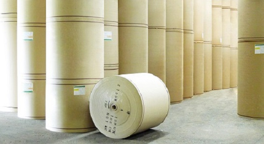 Nguy cơ ô nhiễm môi trường từ sản xuất bột giấy tái chế xuất khẩu 