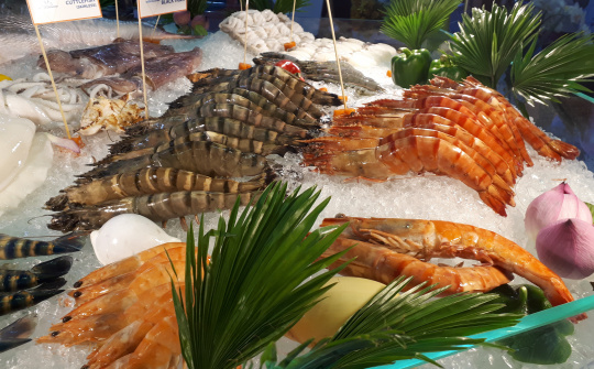 Bộ Công Thương đề nghị tăng cường kiểm soát chất lượng thủy sản xuất khẩu sang Hàn Quốc