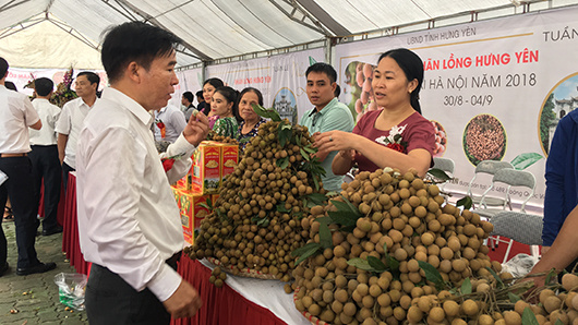 Rộn ràng phiên chợ nhãn lồng Hưng Yên tại Hà Nội