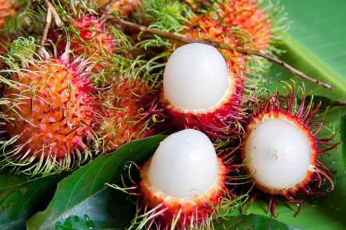 Lô chôm chôm đầu tiên xuất khẩu sang New Zealand