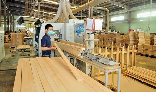 Ngành gỗ trước cơ hội vàng tại thị trường Mỹ