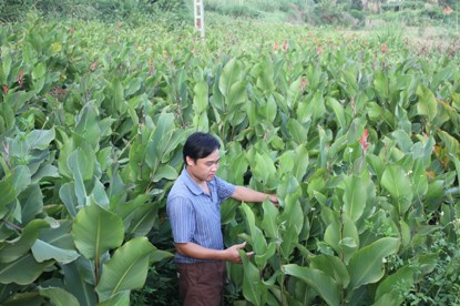 Na Rì - Bắc Kạn: Khai thác triệt để tiềm năng và thế mạnh sẵn có