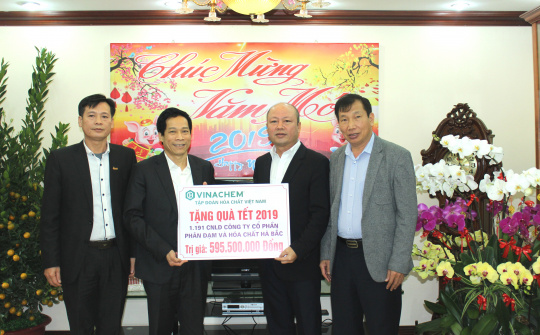 Đạm Hà Bắc: Tăng trưởng tốt, giảm lỗ 60%