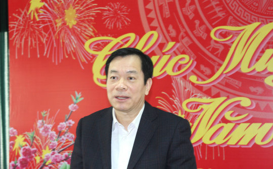 Đạm Ninh Bình: Tết này thấy đã vui hơn