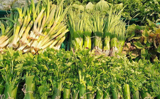 Thủ tướng biểu dương doanh nghiệp dùng lá chuối gói thực phẩm