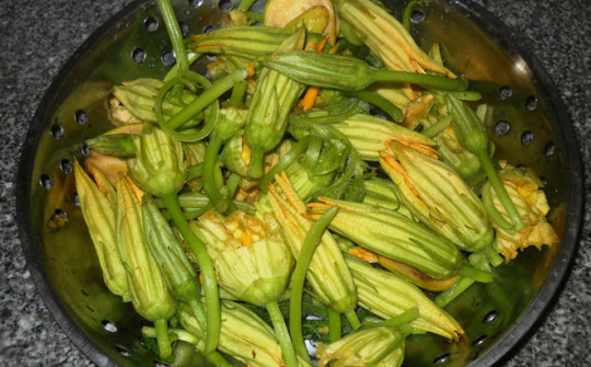 Hương vị quê hương: Món ngon mùa bông bí