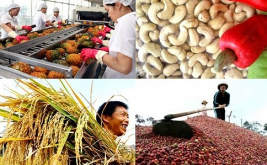 Ngành Nông nghiệp xuất siêu 7,45 tỷ USD trong 11 tháng