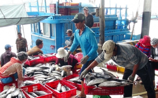 Thuỷ sản Việt Nam hồi hộp chờ phán quyết từ châu Âu