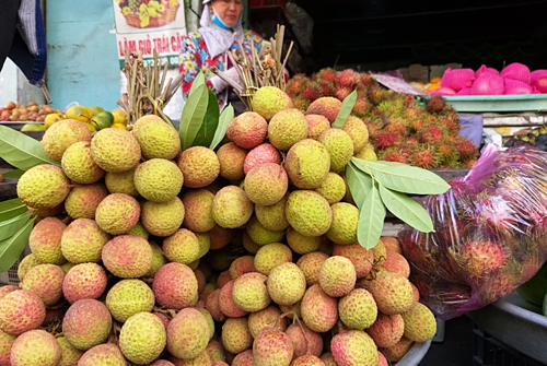 Vải đầu mùa đi máy bay Nam tiến