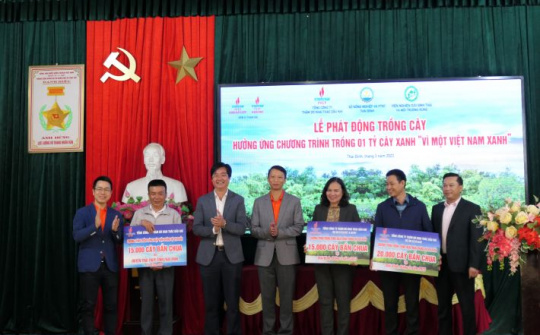PVEP: Tài trợ 50.000 cây xanh rừng phòng hộ ven biển cho tỉnh Thái Bình