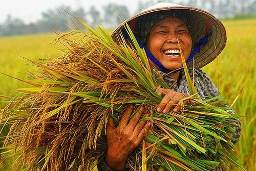 Cuộc vận động Người Việt Nam ưu tiên dùng hàng Việt Nam: Triển khai rộng đến đâu?