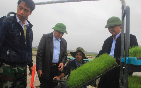 Máy cấy tự động lần đầu xuất hiện trên đồng ruộng tỉnh Quảng Trị