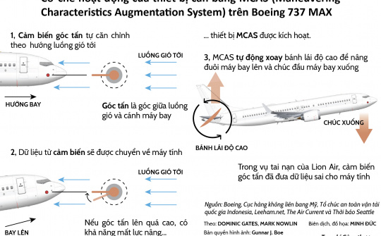 Hai chiếc Boeing 737 MAX có thể đã rơi như nào?