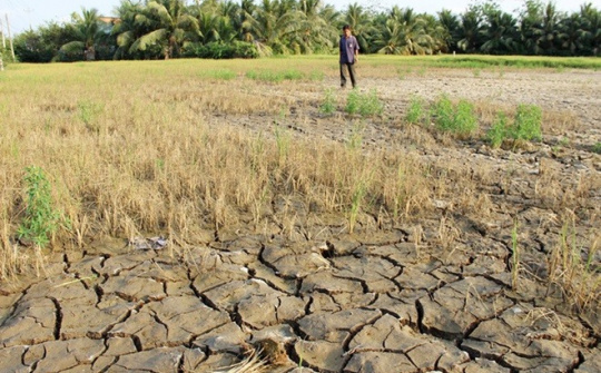 Chuyện chiều thứ 6: Mặn hơn nước mắt