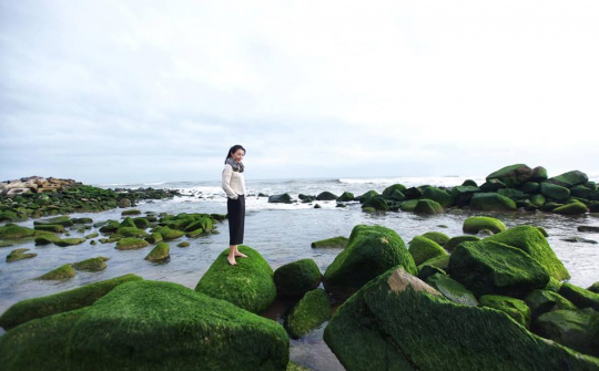 Chuyện chiều thứ 6: Lạ lùng “chất” Phú Yên