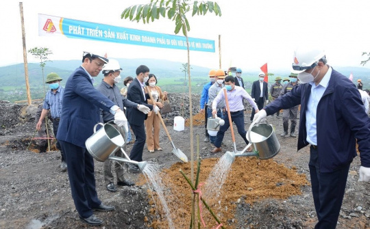 Công ty Cổ phần Gang Thép Thái Nguyên: Góp sức trồng mới 1 tỷ cây xanh