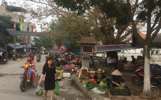 Hà Nội phấn đấu xây dựng thêm 6 chợ đầu mối cấp vùng