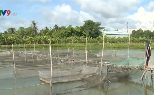 ĐBSCL xác định nhiều sản phẩm OCOP