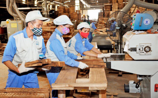 Làm gì để phòng ngừa rủi ro cho xuất khẩu gỗ?