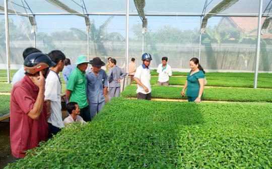 CPH công ty nông lâm trường: Người dân góp vốn bằng quyền sử dụng đất?
