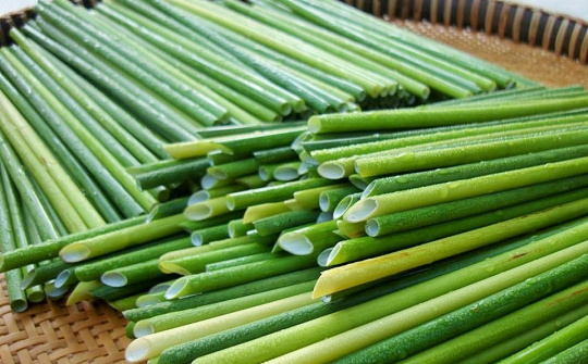 Ống hút “xanh” thân thiện với môi trường