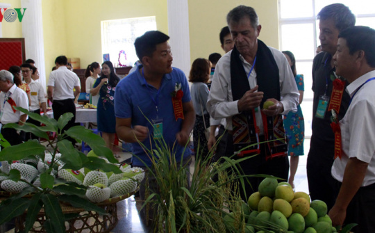 Gỡ khó cho nông sản