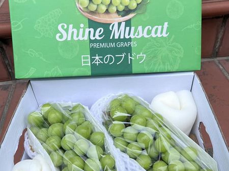 Hà Nội: Tổng kiểm tra cửa hàng hoa quả nhập khẩu phát hiện nhiều vi phạm