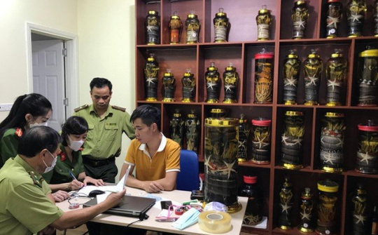 QLTT Hà Nội: Tạm giữ gần 1000 lít rượu không rõ nguồn gốc xuất xứ