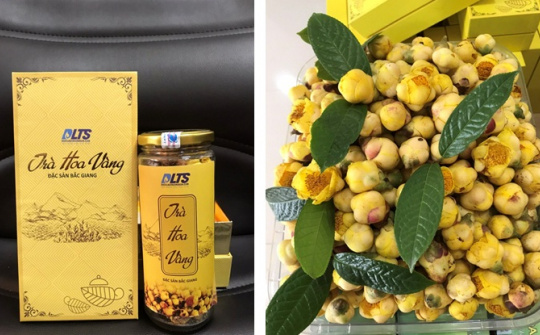 Khuyến công và Xúc tiến thương mại tỉnh Bắc Giang: Hoạt động ngày càng linh hoạt và hiệu quả