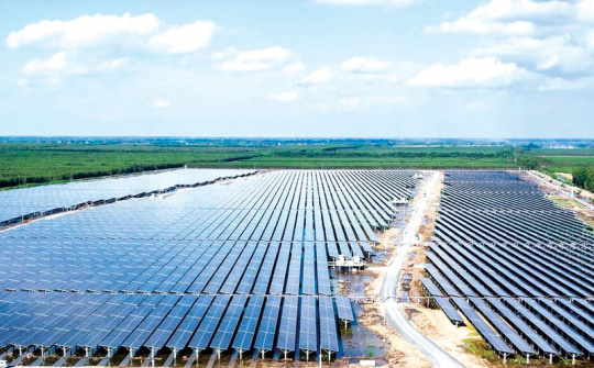 Bamboo Capital dự kiến kết quả kinh doanh Quý II/2022 tăng trưởng tích cực