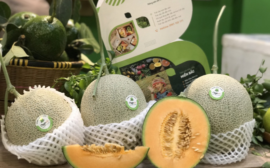 Mô hình trải nghiệm trái cây đặc Sản  tự nhiên