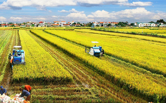Phân bón Văn Điển: Sản phẩm thân thiện môi trường