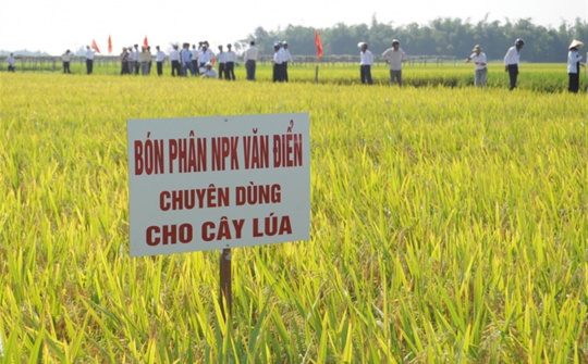 Phân bón Văn Điển: Hướng tới một nền nông nghiệp sạch, an toàn