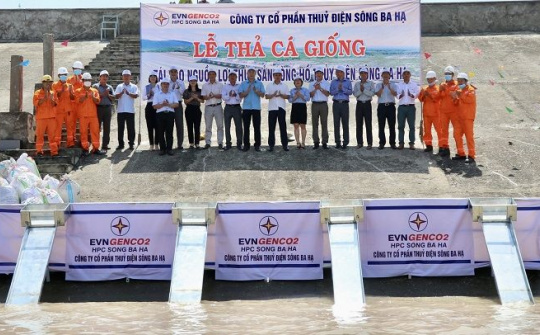 Thủy điện Sông Ba Hạ  thả cá trên lòng hồ hưởng ứng ngày Môi trường thế giới