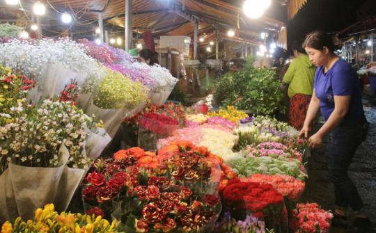 Tấp nập chợ hoa đêm Quảng An trước ngày Quốc tế Phụ nữ 8/3