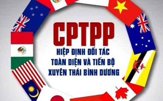Ra mắt Chuyên trang Thông tin điện tử về Hiệp định đối tác toàn diện và tiến bộ xuyên Thái Bình Dương